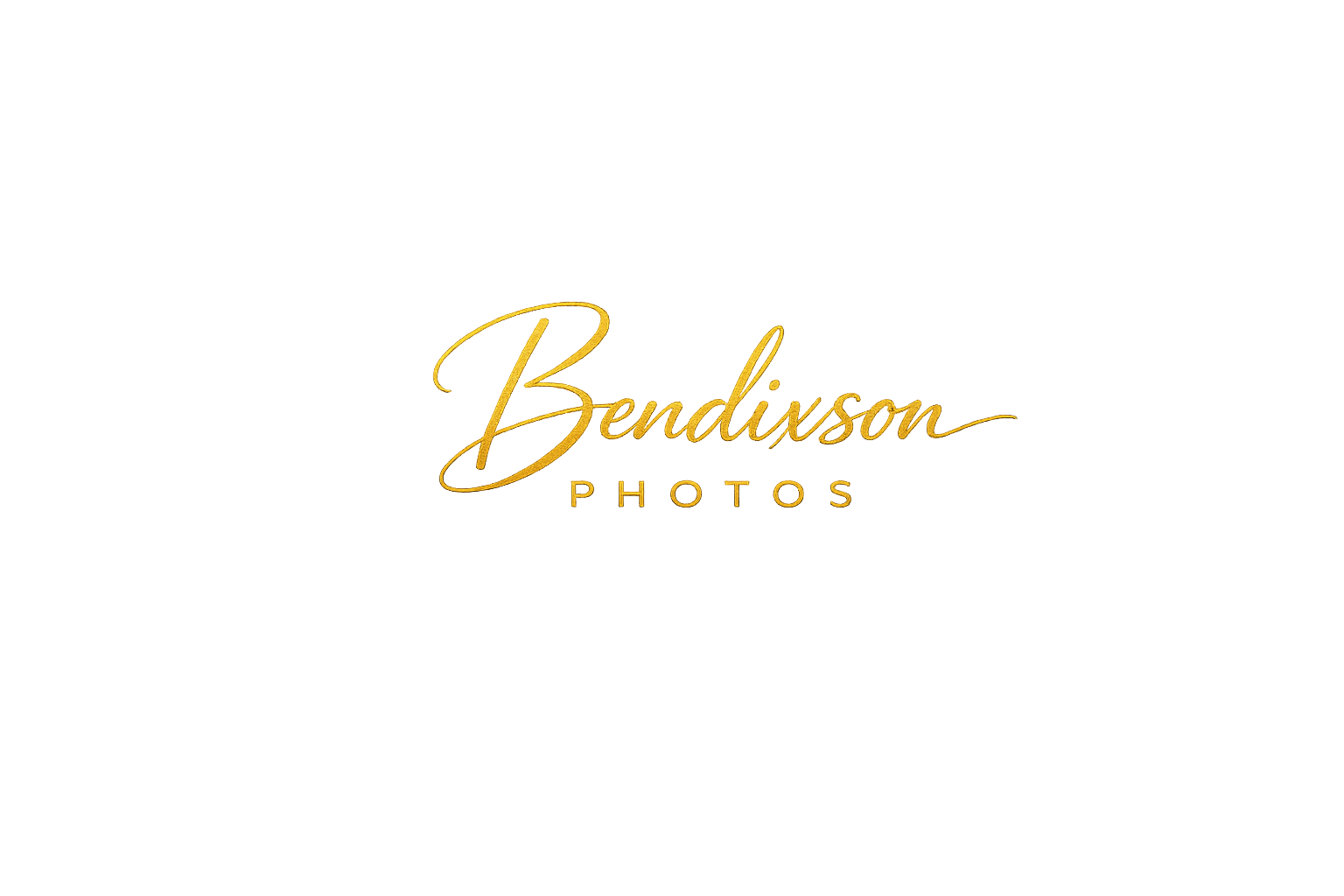 Bendixson Photos